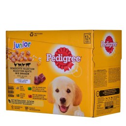 PEDIGREE Junior Wybór smaków w galaretce - mokra karma dla psa - 12x100 g