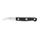 Zestaw 4 noży w bloku ZWILLING Gourmet 36131-003-0