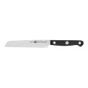 Zestaw 4 noży w bloku ZWILLING Gourmet 36131-003-0